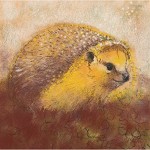 vierkante dubbele
wenskaart met envelop
Loes Botman